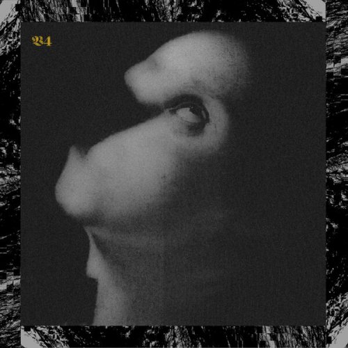 Viscera/// - 4. Assets For Psychedelic Warfare (2026)