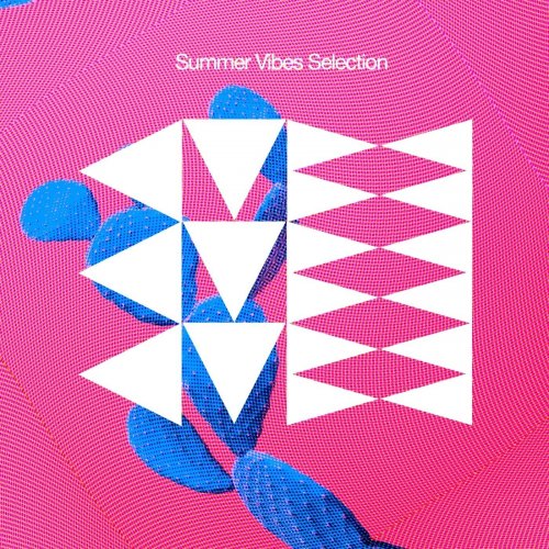 VA - Summer Vibes Selection (2026)