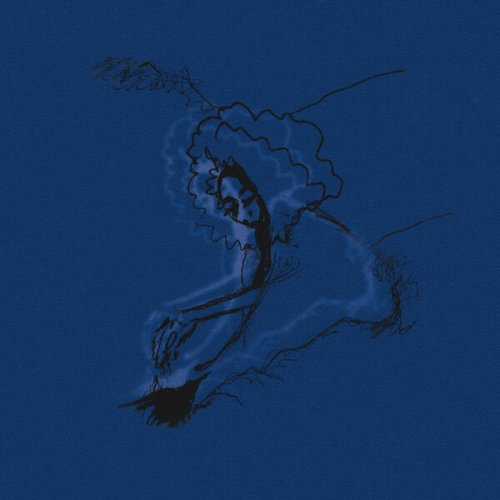 Polar Bear, Sebastian Rochford - Dim Lit (2004)