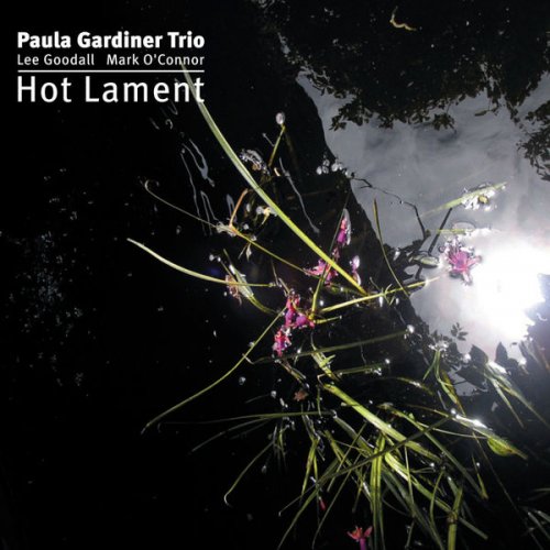 Paula Gardiner Trio, Lee Goodall, Mark O Connor - Hot Lament (2008)