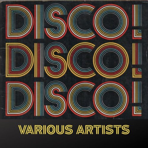 Various Artists - DISCO ! DISCO! DISCO ! (2025) [Hi-Res]