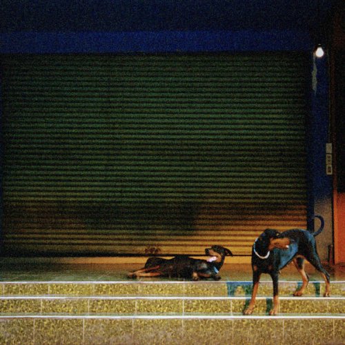 Overmono - Pure Devotion (2026)