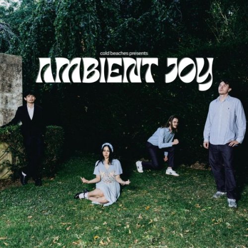 Cold Beaches - Ambient Joy (2025)