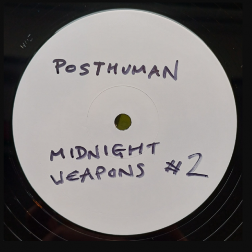Posthuman - Midnight Weapons #2 (2026)