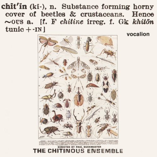 The Chitinous Ensemble - Chitinous (1971) [2005]