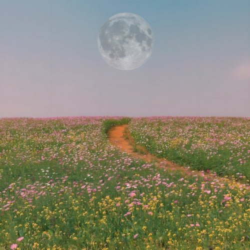 Ncamargo - The Scenic Route (2026)