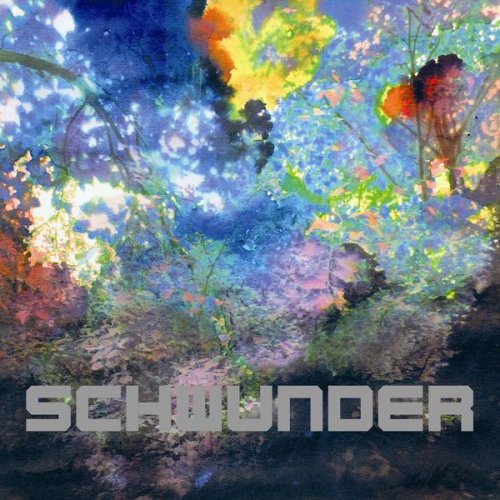 Der Nino aus Wien - Schwunder (2011)