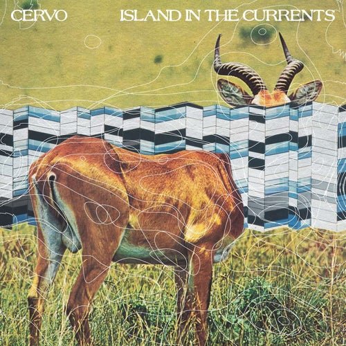 Cervo - Island in the Currents (2026)
