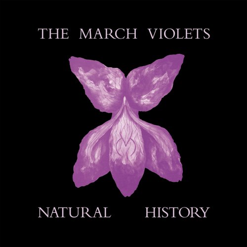 The March Violets - Natural History (2026) [Hi-Res]