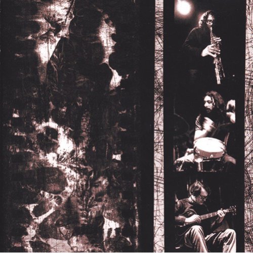 Bailey / Stevens / Watts - Dynamics Of The Impromptu (1999)