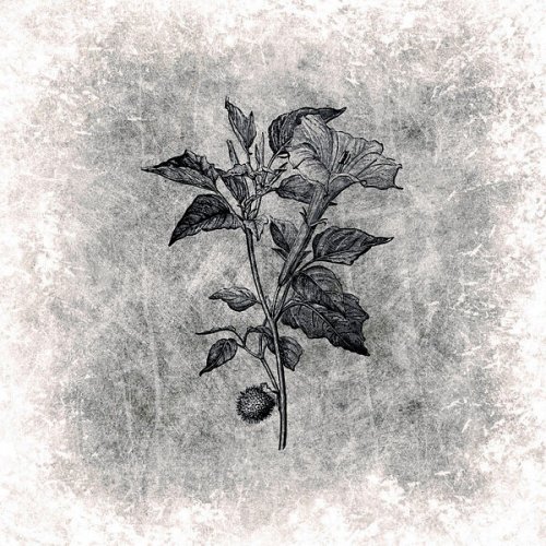 Polterngeist - At the Call of the Devil's Trumpet (2026)