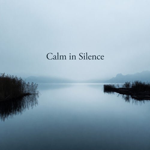 Stephen Foster, cob, Rentaro Taki - Calm in Silence (2026)