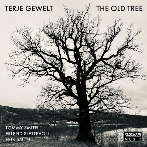 Terje Gewelt - The Old Tree (2026) [Hi-Res]