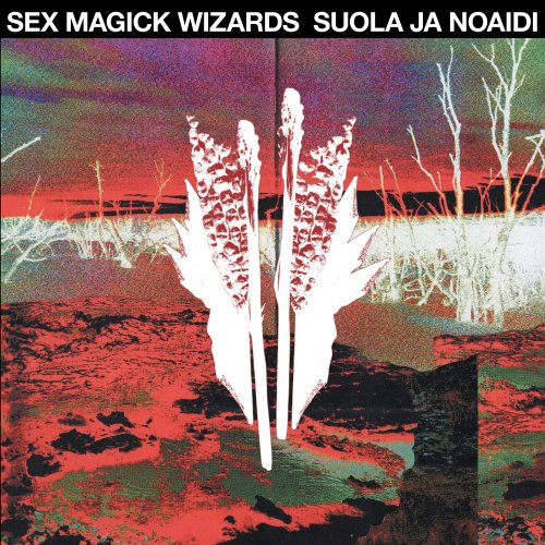 Sex Magick Wizards - Suola Ja Noaidi (2026) [Hi-Res]