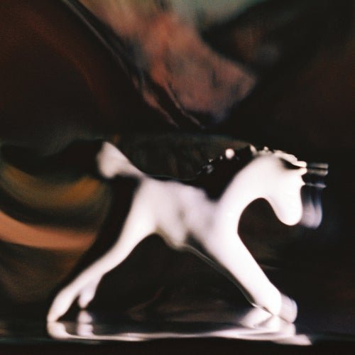 Slowfoam - Night Rider (2026)
