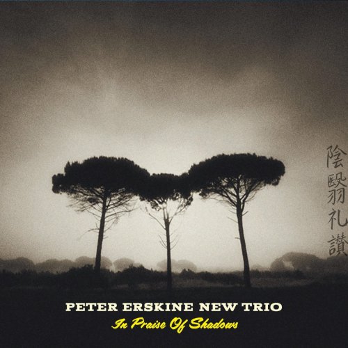 Peter Erskine New Trio - In Praise of Shadows (2016)