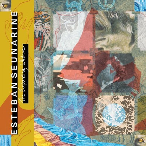 Esteban Seunarine - The Expanding Whatever (2026) Hi-Res