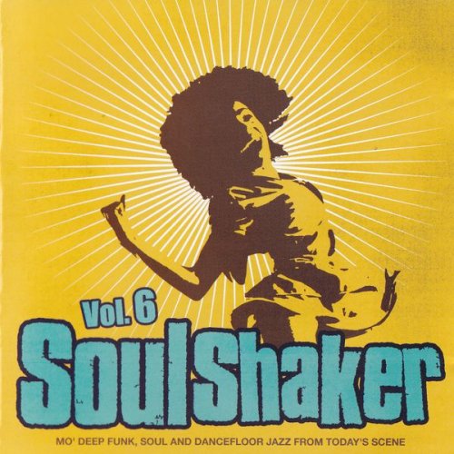 VA - SoulShaker Vol. 6 (2010)