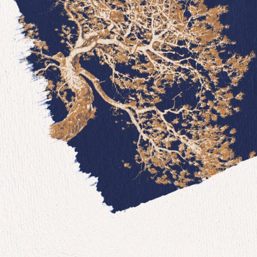Michał Skwierczyński - Consistency (2026) Hi-Res
