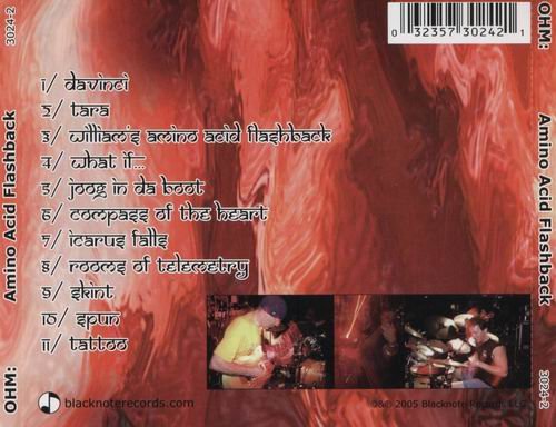 Ohm: - Amino Acid Flashback (2005)