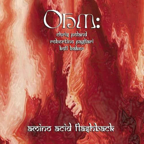 Ohm: - Amino Acid Flashback (2005)