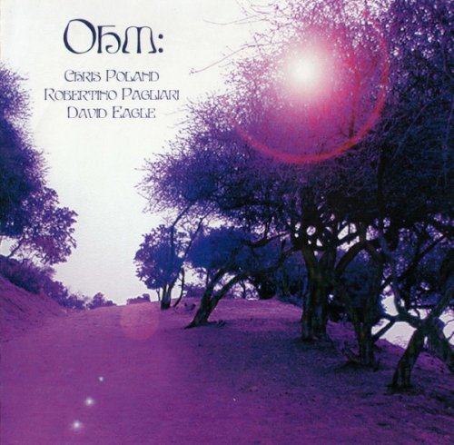 Ohm: - Ohm (2003)
