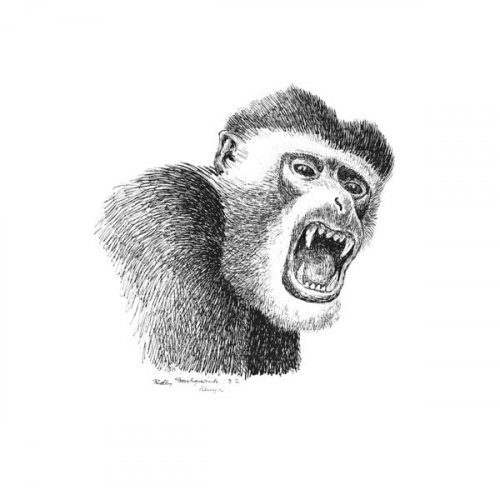 Björn Åkerblom - Monkey Business (2026) Hi-Res
